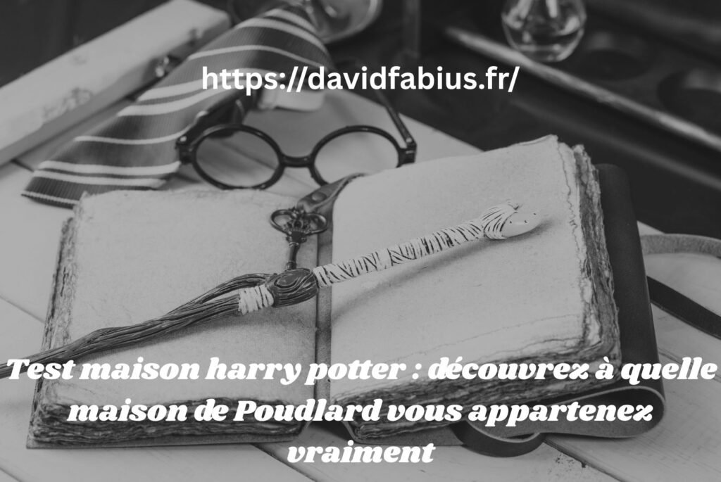 Test maison harry potter : découvrez à quelle maison de Poudlard vous appartenez vraiment Test maison harry potter